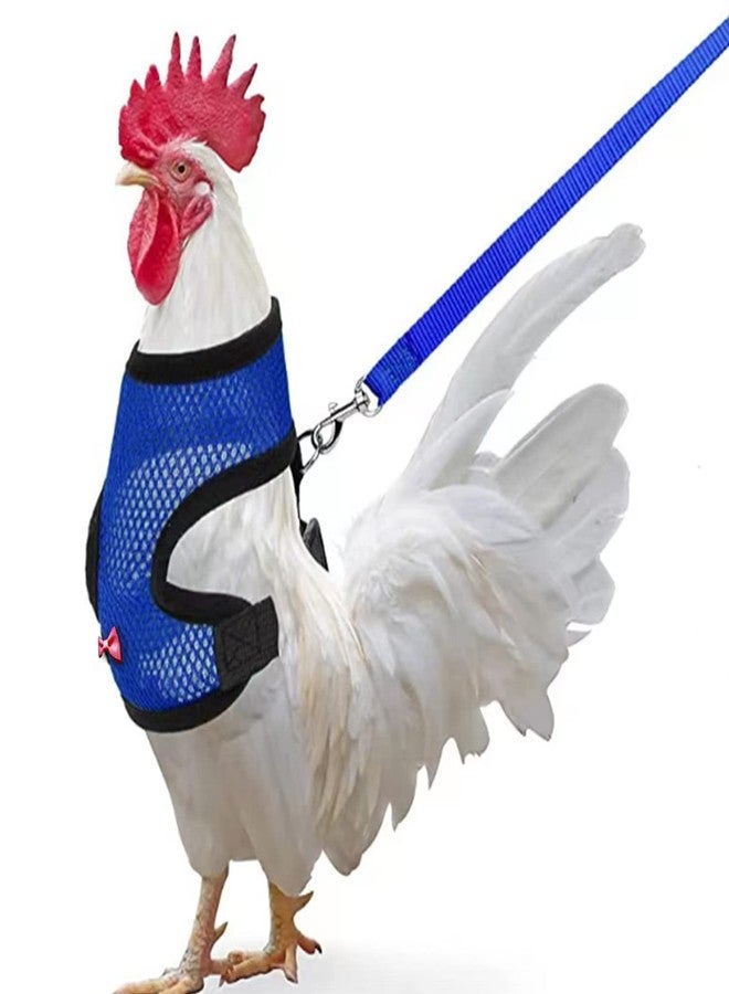 Arbootjin Chicken Harness (Medium, Blue) with Leash, Breathable, Adjustable, Comfortable for Chickens, Ducks, Geese, and Small Pets - Image 1